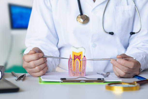 Best Pediatric Emergency Dentist in Soquel, CA